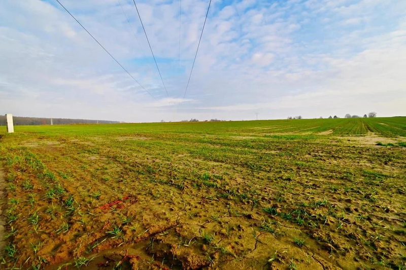 Działka rolno-budowlana - doskonała inwestycja! - 93774879.jpg