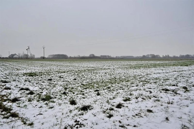 Ludwin - duża działka usługowa 75a - 93776692.jpg