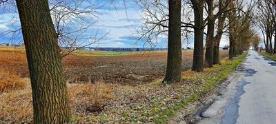 Działka inwestycyjna w Zemborzycach Kościelnych - 2