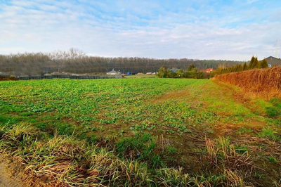 18ar działki III linia zabudowy - Lublin Wrotków