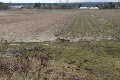 Działka w doskonałej lokalizacji-5 min. od Zalewu