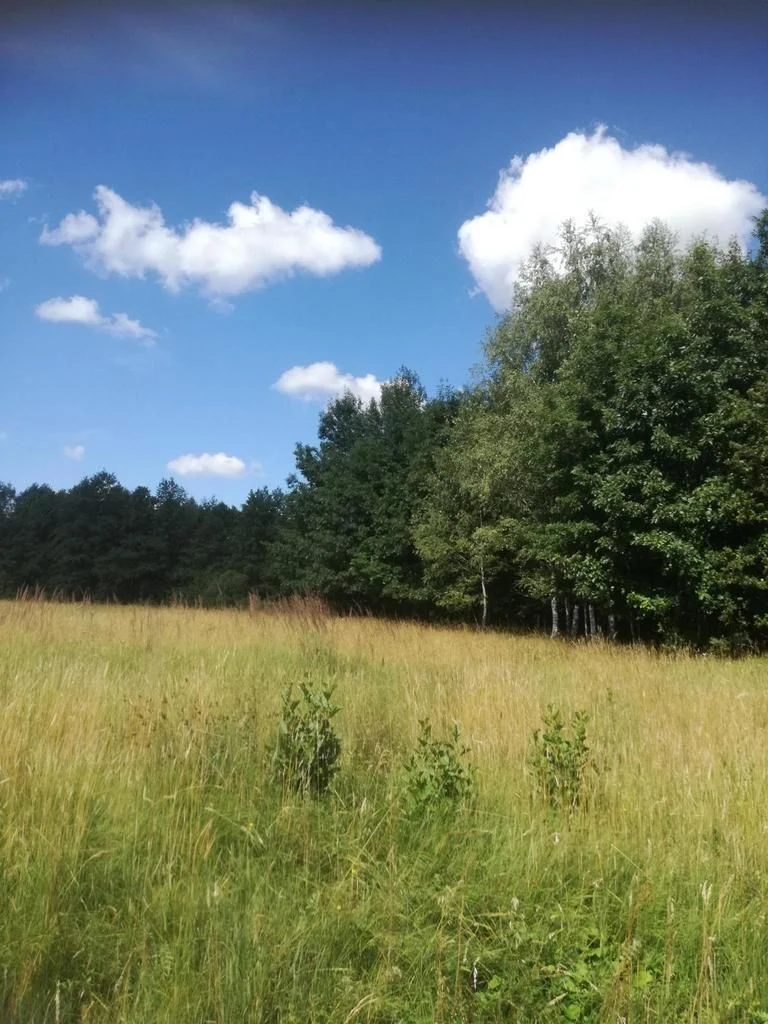 Kolonia Garbatówka, działka rolna, 3,18 ha!! - 93777379.jpg