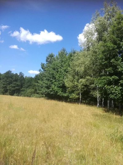 Kolonia Garbatówka, działka rolna, 3,18 ha!! - 4