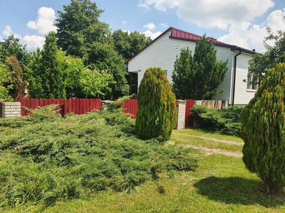 Piękne siedlisko położone w Kiełczewicach Górnych. - 3
