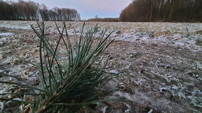 30a w doskonałej lokalizacji pod Kazimierzem D - 3
