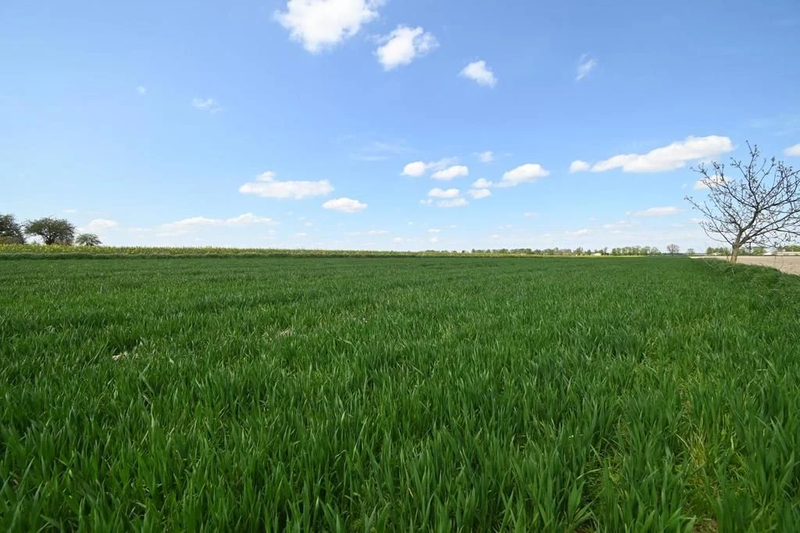 PODOLE - Działka budowlana o powierzchni 13,4 arów. - 93778044.jpg