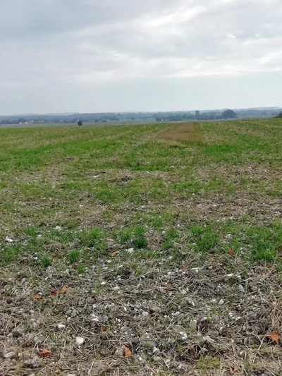 Działka inwestycyjna 4,5 ha bezpośrednio przy S12 - 4