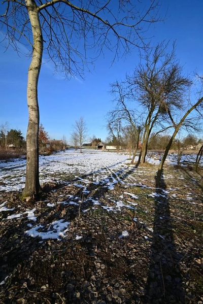Gm. Wąwolnica - 100ar z projektem domu. - 2