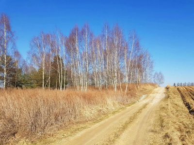 Piękna działka rekreacyjna na zaciszu - Karczmiska - 2