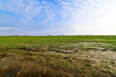Działka 14ar pod zab. jednorodzinną - Zemborzyce - 2