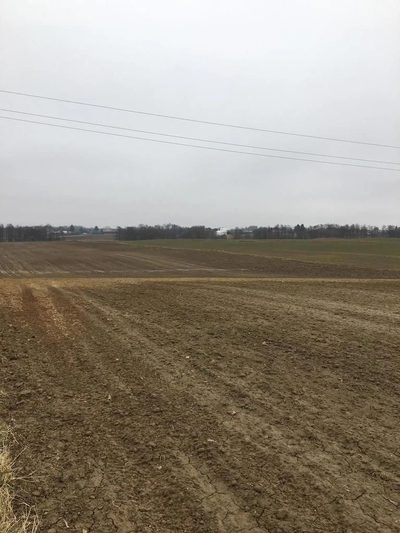 Działka 3000m2 Tomaszowice- Kolonia - 5