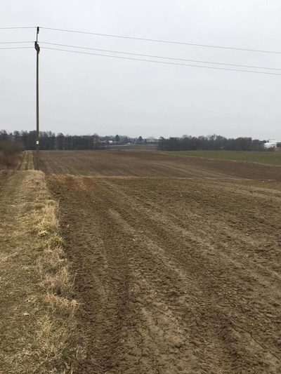 Działka 3000m2 Tomaszowice- Kolonia - 2