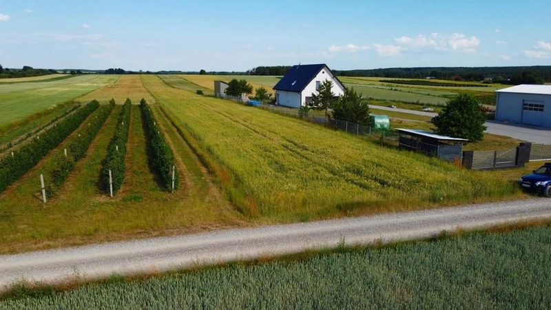 Borów Kol. Duża działka z możliwością uzyskania WZ - 93780117.jpg