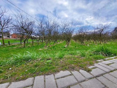 Motycz, - 30 ar - blisko szkoły, do wydzielenia - 5