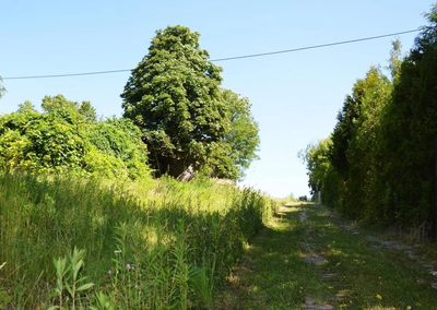 Działka rolno-budow. z szybkim dojazdem do Lublina - 3