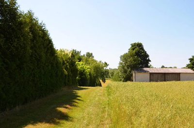 Działka rolno-budow. z szybkim dojazdem do Lublina - 5