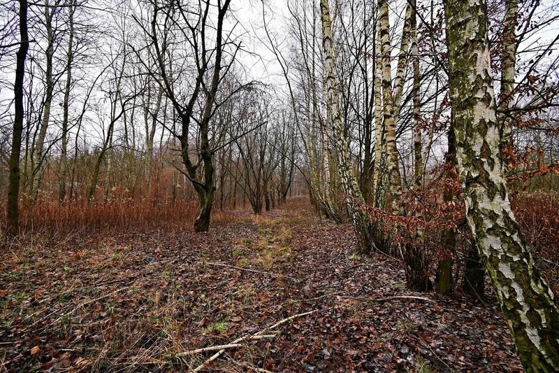 95 arów pod Kazimierzem Dolnym - 93781082.jpg