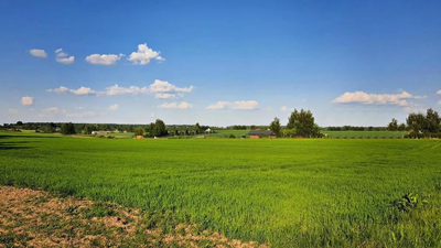 Działka 30ar nieopodal Lublina - Miłocin - 5