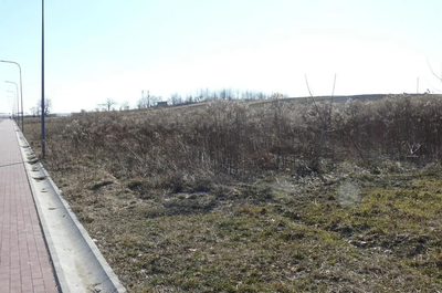 Działki budowlane w Nałęczowie. - 3
