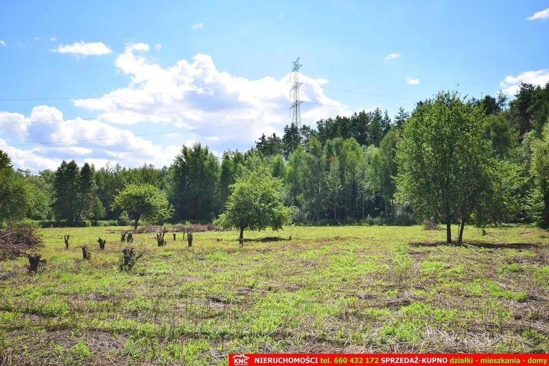 Pliszczyn, działka do wydzielenia 30-50a, rzeka. - 93781529.jpg