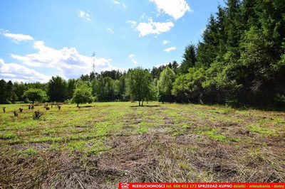 Pliszczyn, działka do wydzielenia 30-50a, rzeka. - 3