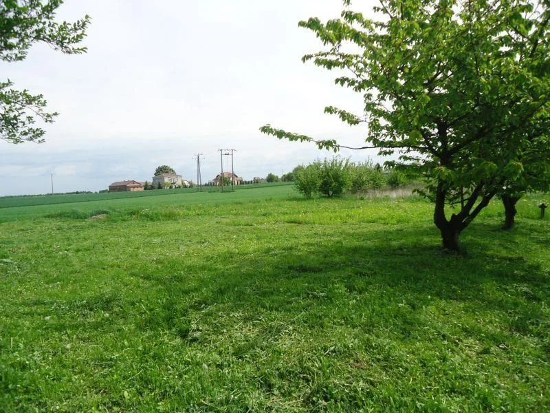 Pawlin gmina Konopnica około 12km od Lublina - 93781062.jpg