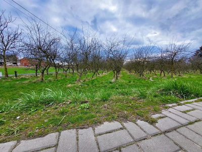 Inwestycyjna działka budowlana w Motyczu - 4
