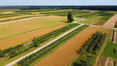 Atrakcyjne siedlisko 53 ar ziemi pod Kazimierzem - 2