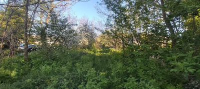 Działka zagrodowa w Turce. - 5