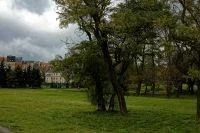 Sprzedam działkę komercyjną! - 3