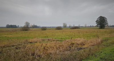 Samoklęski kol. Pierwsza - działka rolna - 3