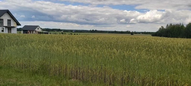 Piękna działka budowlana w Starościnie!!! - 93782051.jpg