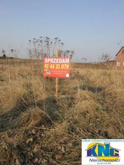 Działka 92 a. w Świdniczku koło Lublina, bezpośrednio przy asfaltowej drodze gminnej, w spokojnej okolicy. - 2