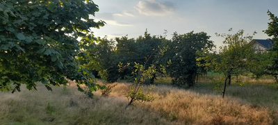 Ładna, uzbrojona działka pod lasem-33a-Wilczopole - 4