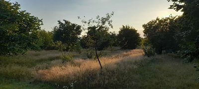Ładna, uzbrojona działka pod lasem-33a-Wilczopole - 3