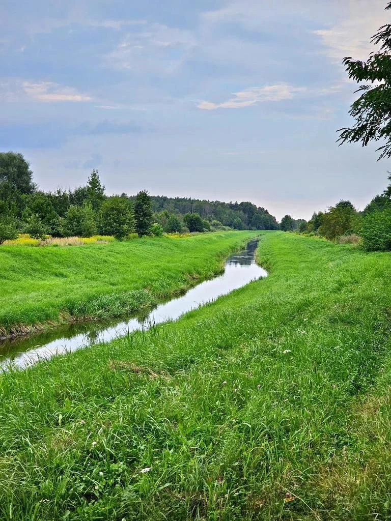 Łąki przy kanale - częściowo pod wydobycie torfu!! - 94297702.jpg