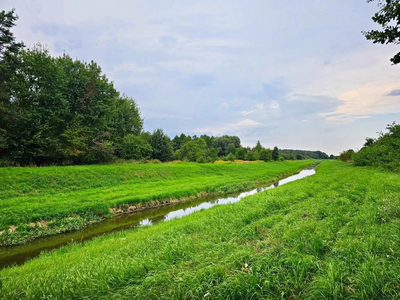 Łąki przy kanale - częściowo pod wydobycie torfu!! - 4
