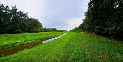Łąki przy kanale - częściowo pod wydobycie torfu!! - 5