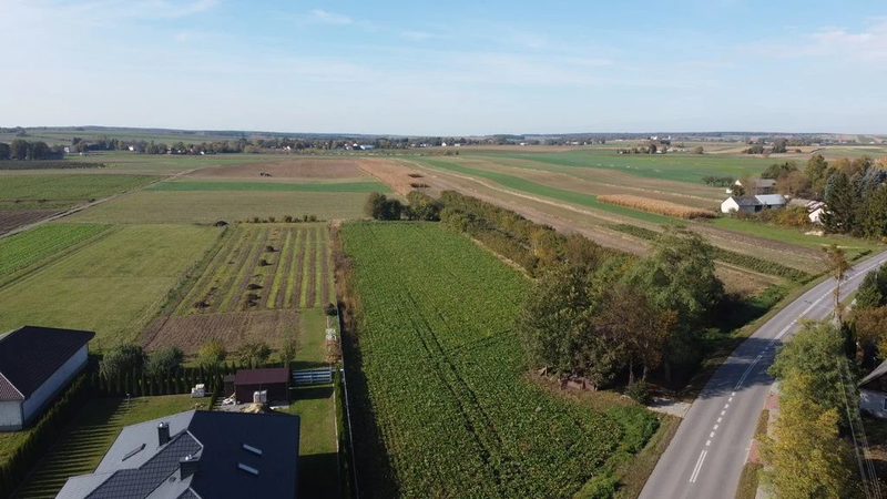 Działka budowlana Krasnystaw ul. Kościuszki 42,8ar - 95454522.jpg