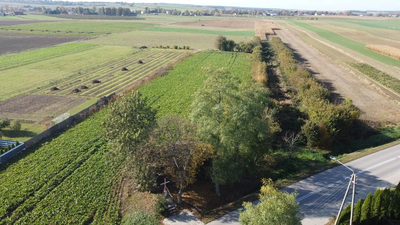 Działka budowlana Krasnystaw ul. Kościuszki 42,8ar - 5