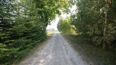 Działka 16 ar w miejsc. Gołąb pow. Lubartowski - 2