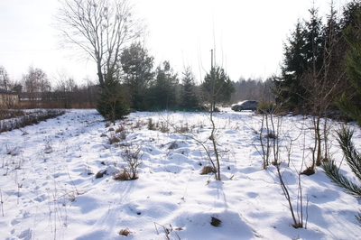 Działka 16 ar w miejsc. Gołąb pow. Lubartowski - 4
