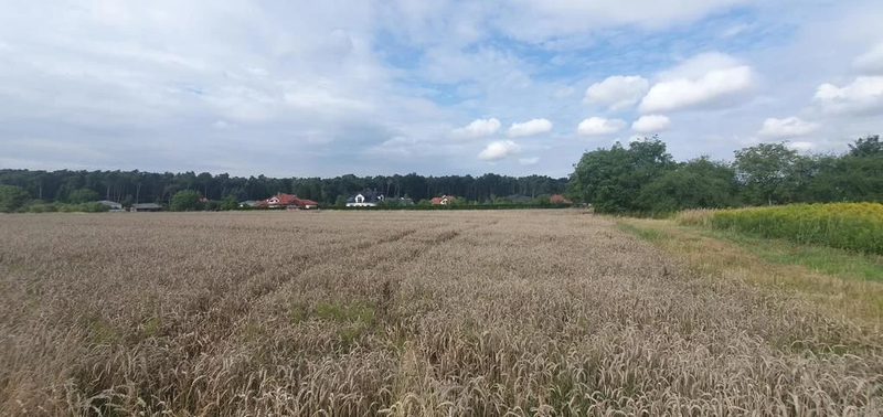 Piękna działka budowlana blisko lasu- 17ar-Świdnik - 97726326.jpg