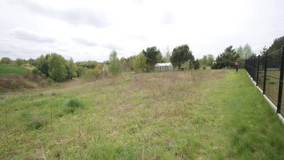 Duża działka rolna ok. 1 ha Jakubowice Konińskie - 4