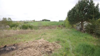 Duża działka rolna ok. 1 ha Jakubowice Konińskie - 3