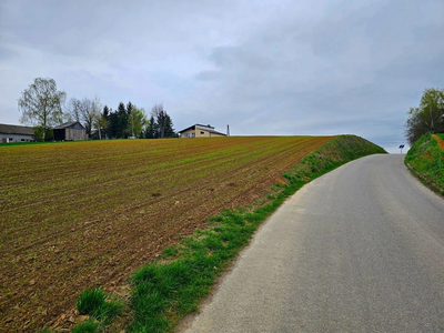 Działka na wzgórzu z niepowtarzalnymi widokami - 3