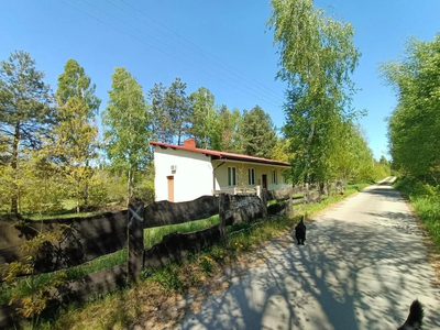 Dom na działce 4883 m2 z WZ w Gródku.