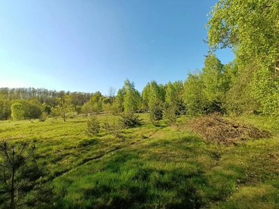 Dom na działce 4883 m2 z WZ w Gródku. - 2