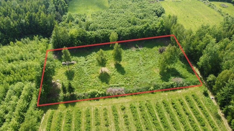 Działka 3580 m2 w Kazimierzu Dolnym 4 km od rynku. - 98587509.jpg