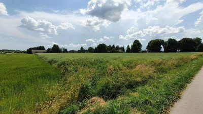 Piękna, duża działka w spokojnej okolicy - Pólko - 3